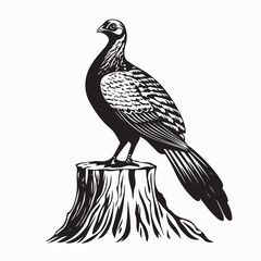 Black and white Pheasant standing on a tree stump vector image isolated on white background.