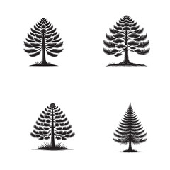 Naklejka premium detailed Vector Silhouette of the Sugar Pine Tree Isolated on a White Background