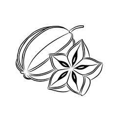 line art vector illustration of star fruit. whole and split fruit. Healthy fruit, vegetarian product.