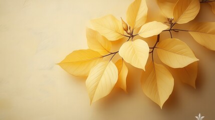Fototapeta premium Elegant Yellow Leaves on Soft Beige Background for Autumn Decor