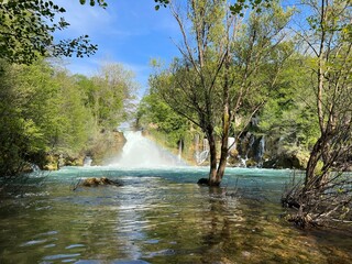 Naklejka premium Bilusica Buk Waterfall on the Krka River - Krka National Park, Croatia (Slap Bilušića buk ili vodopad Bilušića buk na rijeci Krki - Nacionalni park Krka, Hrvatska)