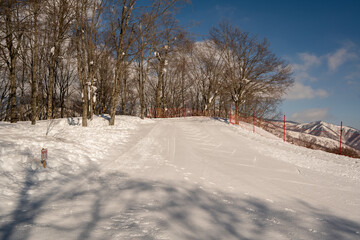 スキー場　ゲレンデ風景　白馬岩岳スノーフィールド