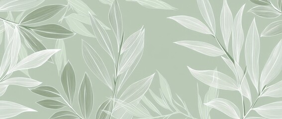 Fototapeta premium Mimosa leaves seamless pattern, soft sage green background with white lines and contours, fine line art drawing, modern botanical illustration