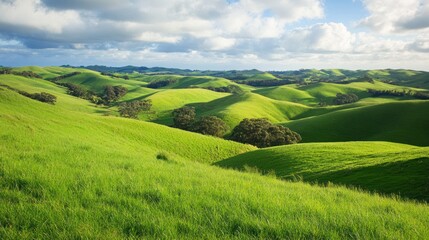 Obraz premium Green land with rolling hills and lush grass under a sunny sky, on solid white background, single object.