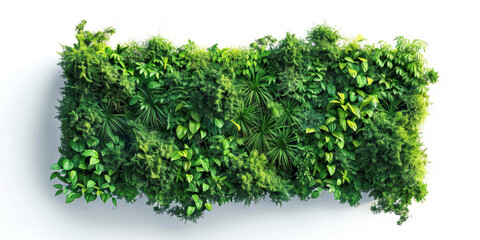 Fototapeta premium Vibrant Green Wall Garden Decor