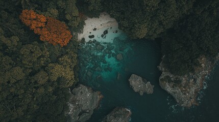 Aerial View of Secluded Tropical Cove with Crystal Clear Waters and Lush Greenery