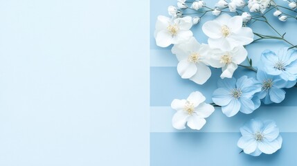Powder blue tone with soft, light hues, perfect for delicate and calming design themes, on solid white background.