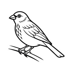 Minimalist Canaries Bird On Branch Vector Illustration
