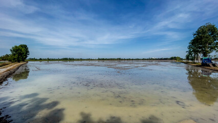 Agriculture water management practices rice fields landscape photography rural area panoramic view sustainable farming concepts