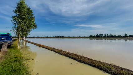 Waterlogged agricultural fields rural landscape nature photography lush environment panoramic view agriculture insights