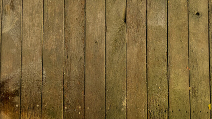 Natural beauty, wooden plank texture, forest path, natural environment, ground level, close-up texture details.