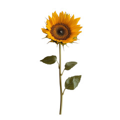 Obraz premium Artificial Sunflower with Textured Petals and Realistic Center, Isolated on White, Evoking Perpetual Summer and Rustic Decoration Transparent Background