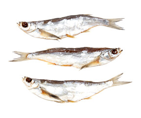 Three fish are shown on a white background