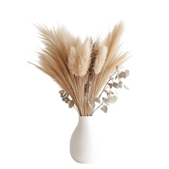 Dried Pampas Grass Plumes, Arranged in a White Ceramic Vase, Displaying Natural Beige Tones and Soft Textures, Evoking Boho Chic and Minimalist Style, Isolated on White Transparent Background