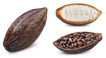 Cocoa pod, beans and isolated on a white. Fresh organic Cocoa isolated clipping path. Cocoa macro...