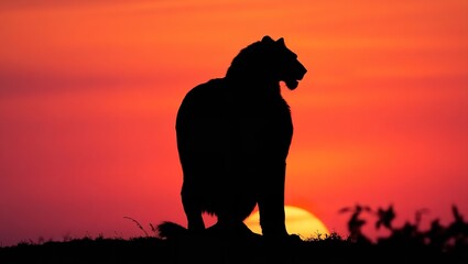  A Majestic Animal Pair Potentially a Predator and Prey in a Natural Setting