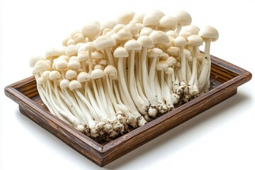 Wooden tray with enoki mushrooms, isolated on a white background.