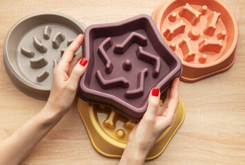 Woman holding slow feeding dog bowl, choosing the right one