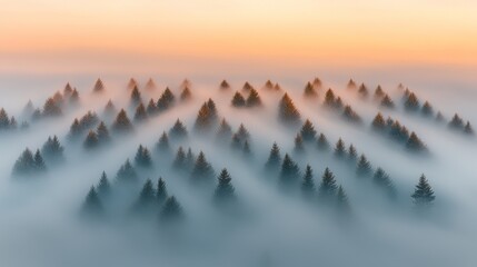 Tranquil Forest at Sunrise: Fog-Embraced Trees Create Surreal Landscape