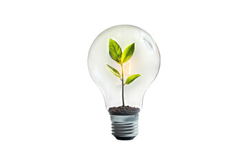 Green plant growing inside a light bulb with soil isolated on white or transparent, PNG
