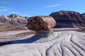 Ancient Forest Revealed in Petrified Forest National Park