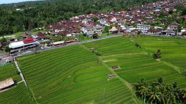 Drone flying forward to small village through an amazing landscape of Jatiluwih rice Terraces in Tabanan Regency, Bali, Indonesia. Terrace with green rice plants, a UNESCO World Cultural Heritage Site