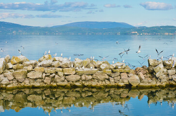 Lago Trasimeno
