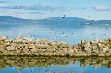 Lago Trasimeno