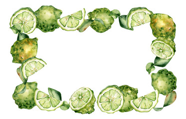 Lime kaffir, bergamot whole and half citrus in watercolor frame isolated background. Curly leaves and green fruits hand drawn. Bright summer border hand drawn with sliced citrus fruits for packaging.