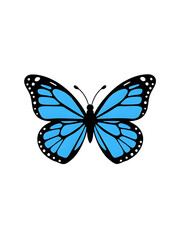 Blue butterfly illustration icon vector