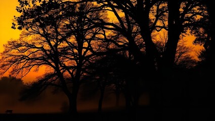  A Serene and Tranquil Landscape Photograph Featuring a Calm River
