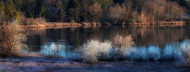 Frosty trees tranquil lake winter reflection serene beauty calm nature peaceful seasonal landscape frosty morning still water harmony natural scene outdoor photography quiet moment scenic tranquility