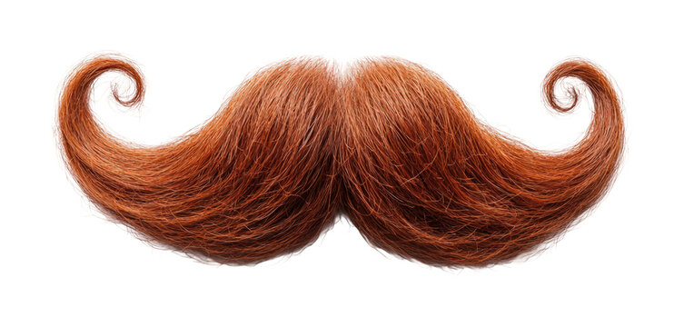 Whimsical orange mustache art capturing playful charm and creativity in quirky styling isolated on transparent background