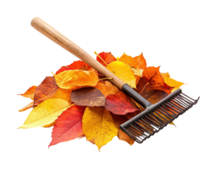 Raking autumn leaves creates a vibrant display of colors in the gardens of a peaceful backyard during fall isolated on transparent background