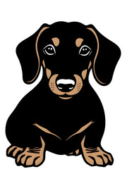 Fototapeta premium Dachshund dog illustration icon vector