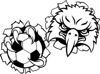 An eagle or hawk or falcon soccer football bald eagles mascot