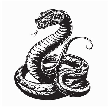 Snake Cobra Image vector. Snake Cobra Stock Illustration on white background.