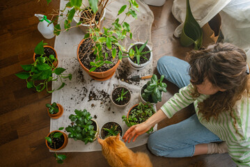 Woman sitting on the floor, repotting houseplants while her ginger cat watches nearby, creating a...