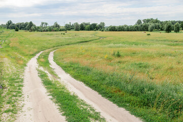 A scenic dirt road curving through a green meadow with trees in the distance under a partly cloudy sky.