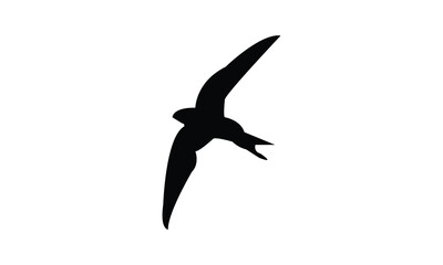 Flying Black Swift Bird Silhouette Design  And Vector Illustration. 