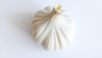 Fresh garlic bulb on a white background, perfect for cooking and seasoning