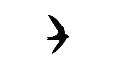 Flying Black Swift Bird Silhouette Design  And Vector Illustration. 
