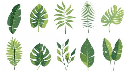 Vibrant Tropical Leaves Collection