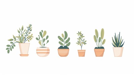 Obraz premium Collection of Beautiful Potted Plants