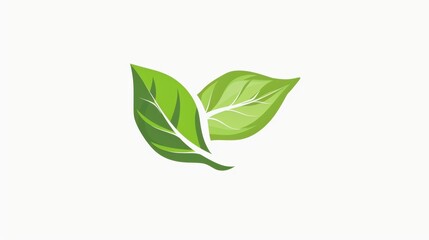 Fototapeta premium Elegant Green Leaves Design
