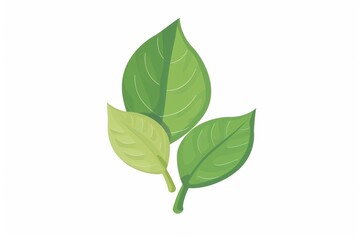 Stunning Green Leaves Design