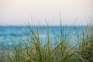 Meeresrauschen am Strand