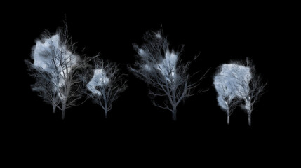 snow covered tree branches black background,generative ai