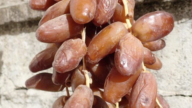 Dates or dattes palm fruit in wooden plate is snack healthy, Set of various dates bowl, Different kind of raw date fruit ready to eat, concrete background, Traditional, delicious and healthy ramadan