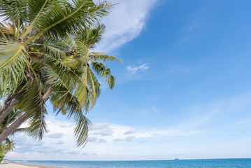 Beautiful nature sea summer background,Sand beach